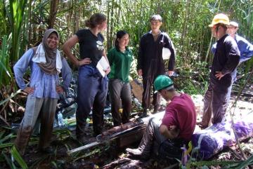 Researchers have found one of the last undisturbed tropical peat forests, in the nation of Brunei on the island of Borneo. Photo: Courtesy of the researchers