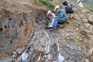 Sam Bowring (front) and former graduate student Seth Burgess inspect the End-Permian extinction horizon at Penglaitan. Image: Shuzhong Shen