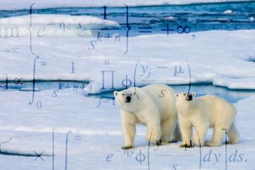 “If you’re really interested in understanding why we should be doing things about climate change,” says senior Saleem Aldajani, “this class prepares you to talk about the issue coherently at conferences, or with specialists, and make a...