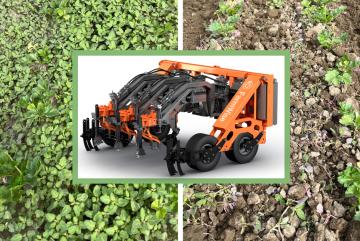 
              MIT alumnus-founded FarmWise uses hulking, autonomous robots that resemble tractors to preserve crops while snipping weeds, eliminating the need for herbicides.
              Courtesy of FarmWise
      
