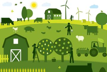 At the second annual Rabobank-MIT Food and Agribusiness Innovation Prize competition, seven finalist startups and teams from MIT and other universities pitched their business ideas to a panel of judges, for a chance to win prizes totaling $25,000...