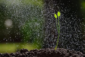 Seven new projects focusing on solutions to water and food systems challenges, led by 11 faculty principal investigators across five MIT departments, will be funded by the Abdul Latif Jameel World Water and Food Security Lab (J-WAFS) with two-yea...