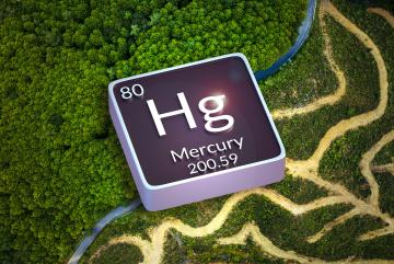 
              Researchers studied the impact of deforestation on the global mercury cycle and found that deforestation accounts for about 10 percent of global human-made mercury emissions. 
              Image: MIT News; iStock
      