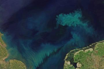
              To track the changes in ocean color, scientists analyzed measurements of ocean color taken by the Moderate Resolution Imaging Spectroradiometer (MODIS) aboard the Aqua satellite, which has been monitoring ocean color for 21 years.
  ...