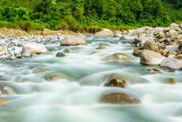 A new study finds clay minerals, such as those at the bottom of rivers and oceans, can bind with bits of decomposing plants and phytoplankton in a natural carbon-storing process.