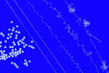 In the new process, resin pellets are melted and then extruded to make stretchy, hair-thin fibers that can be recycled. “You just melt it in a barrel with a heater, and then you extrude and spin it into fibers,” SeongHyeon Kim says. “It’s like a spaghetti machine.”