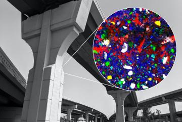 
              The high temporal and spatial resolution Raman imaging technique opens opportunities to answer millennia-old questions regarding cement chemistry. This high-resolution Raman image shows the hydration of alite (white) forming C-S-...