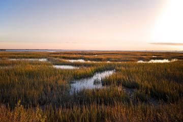 A new study suggests how to fine-tune policy so that wetlands conservation and economic growth both occur, while limiting flood damage around development.