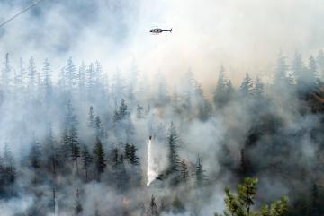 
              As the Earth’s climate changes, larger and longer-burning wildfires are sending smoke farther from their source, often to places that are unaccustomed to the exposure.
              Image: iStock
      