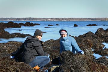 Valerie Muldoon (left), a third-year mechanical engineering student, and biological engineering student Jenna Melanson explore a coastal ecosystem during a field trip to Odiorne Point State Park in New Hampshire. Image courtesy of MIT Sea Grant
