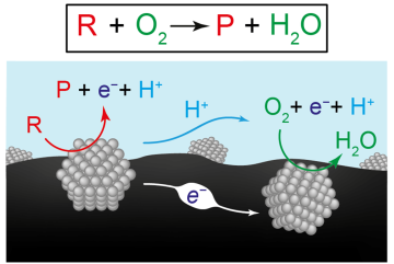 
              This figure presents two views of the chemical reactions for producing renewable fuels and chemicals. The top equation represents the conversion of the reactant (R) plus oxygen (O2) to a product (P) plus water (H2O). The diagram belo...