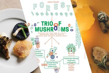 Signifying the forest, the Climate Changed Symposium dinner appetizer was a trio of dried, preserved and foraged mushrooms — fungi known to help the soil store carbon dioxide and thus slow the pace of climate change. Photo: Omnivore