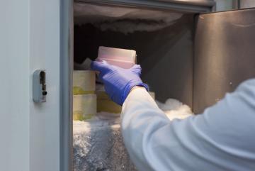 “The Freezer Challenge not only encouraged our lab to perform freezer maintenance and inventorying, but also provoked a collaborative effort with neighboring labs that resulted in the adoption of new freezer management practices within ou...