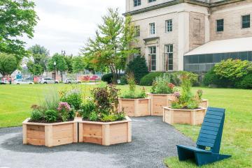 The Hive Garden, a first-of-its-kind pollinator garden at MIT, recently opened on Saxon Lawn.Photo: Effie Jia