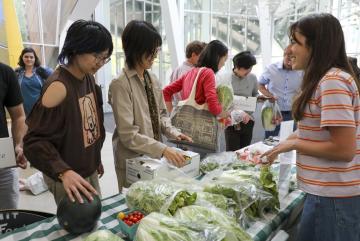 MIT graduate students select Napa cabbage and other produce harvested the previous day by MIT volunteers at the Monday Farm Stand in Stata Lobby.