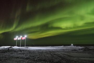 Flags planted in the Arctic ice by countries participating in Operation Ice Camp 2026 wave in the wind against a backdrop of the northern lights. 