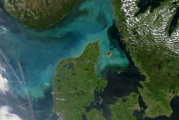 Phytoplankton bloom off Denmark in 2004 Image: NASA
