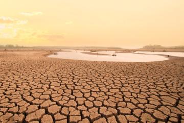 
              Can South Africa and other nations with similar climates avoid future “Day Zero” water shortages?
          